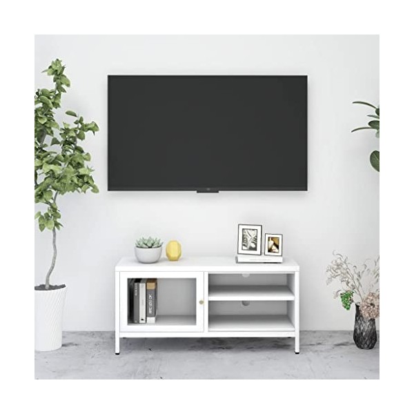 Hovothy Meuble TV Blanc 90x30x44 cm Acier et Verre Unité TV Design Classique et Épuré Décoration Intérieur Unité Multimédia S