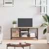 Meubles-TV Meuble TV Chêne Sonoma 100x35x45 cm Bois et Fer