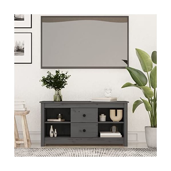 FIRBNUS Meuble TV Gris 103x36,5x52 cm Bois de Pin Massif Armoire TV Salon Classique Armoire Média Grand Espace de Rangement p