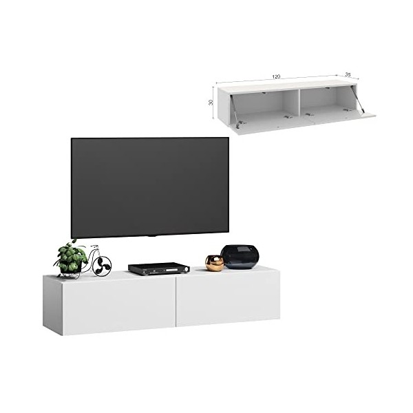 Television 120 cm TV 55 Pouces TV 120 cm Meuble Tele Industriel Meuble TV 120 cm Longueur 120 cm Armoire TV TV étagère TV Boa