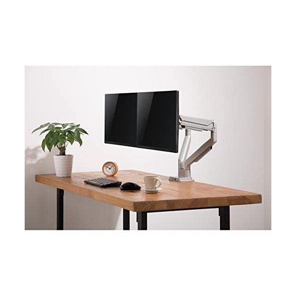 InLine® Support de Bureau Mobile avec Lifter et USB/Audio pour 2 écrans jusquà 81 cm 32" , Max. 9 kg