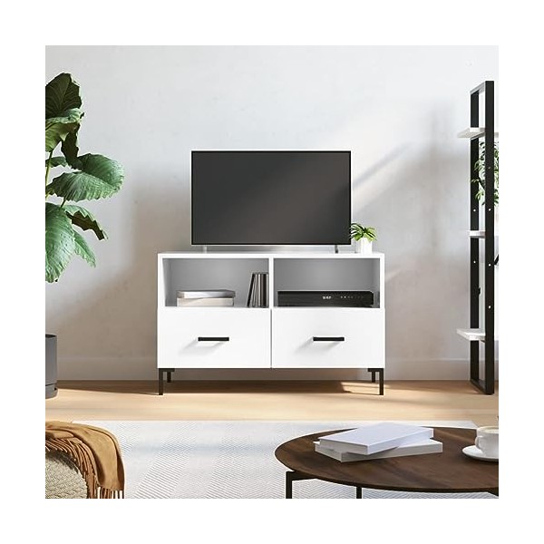 Hovothy Meuble TV Blanc Brillant 80x36x50 cm Bois dingénierie Meuble de Salon Pieds en Fer Style Calme Décoration Intérieur 