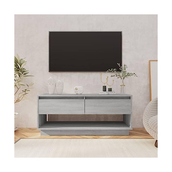 Meuble TV Gris Sonoma 102x41x44 cm Bois dingénierie