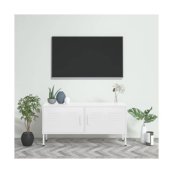 LAPOOH Meuble TV Blanc 105x35x50 cm Acier,Meuble TV,Meuble TV Moderne,Meuble de Salon