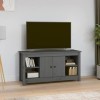 Annlera Meuble TV Gris 103x36,5x52 cm Bois de Pin Massif Classique Banc TV Dessus de Meuble Robuste Placer Stéréo Objets Déco