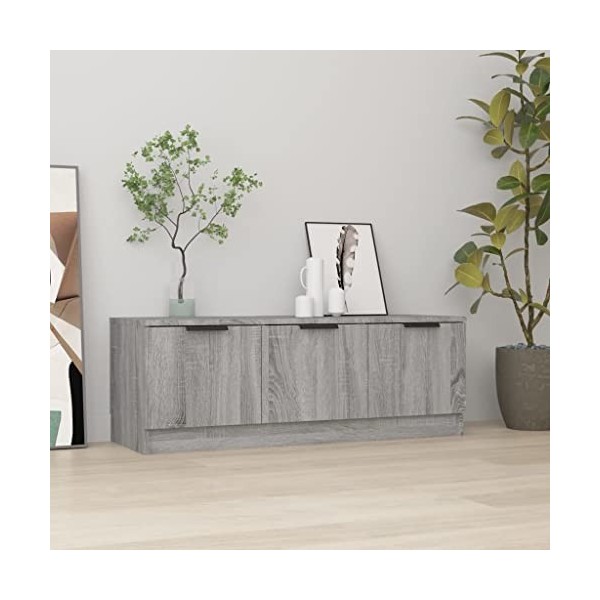 Meuble TV Sonoma gris 102x35x36,5 cm Bois dingénierie