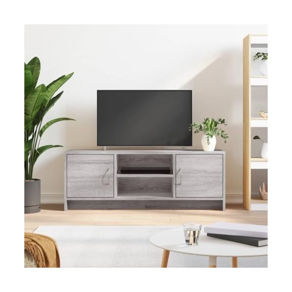 DCRAF Centres de divertissement et supports TV, meuble TV gris Sonoma 102 x 30 x 37,5 cm en bois dingénierie