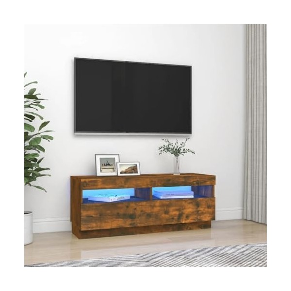 Meuble TV avec lumières LED Chêne fumé 100 x 35 x 40 cm
