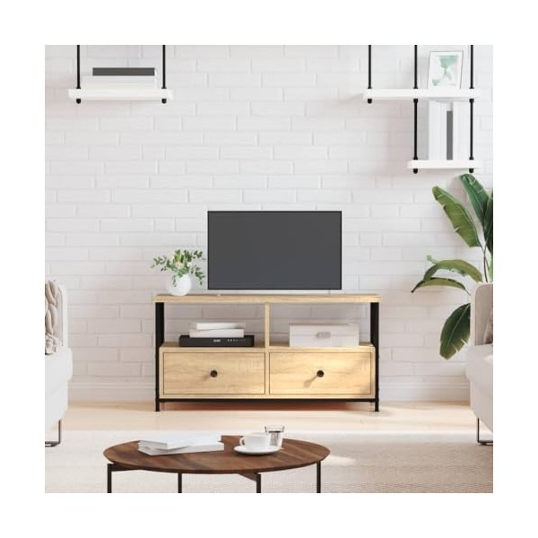 TECHPO Meubles-TV Meuble TV Chêne Sonoma 90x33x45 cm Bois et Fer