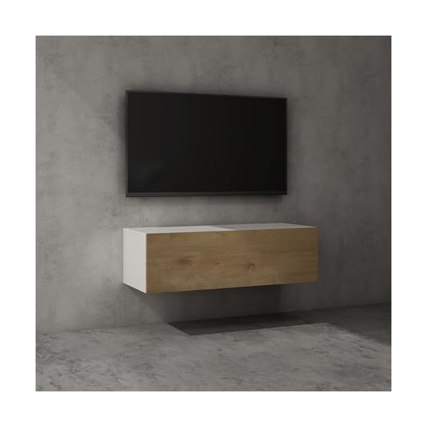 Sogood Meuble TV Bas 100x40,2x30cm Armoire TV Blanc Mat Table de Télévision Salon avec Porte Meuble TV Suspendu Fernsehschran