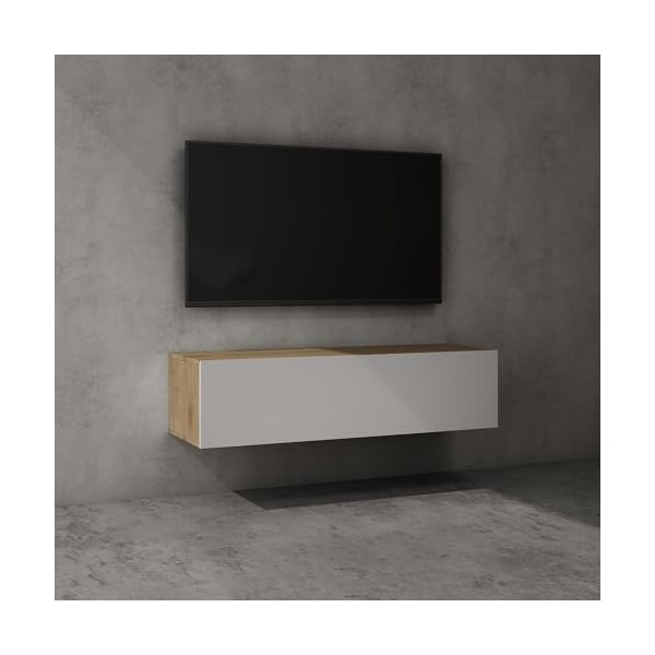 Sogood Meuble TV Bas 100x40,2x30cm Armoire TV Blanc Mat Table de Télévision Salon avec Porte Meuble TV Suspendu Fernsehschran
