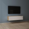 Mai & Mai Meuble TV Suspendue Armoire avec Soft-Close Table TV pour Le Salon Blanc Mat 100x40,2x30 cm TC002