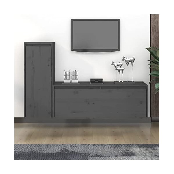 Camerina Meubles TV 2 pcs Gris Bois Massif de pin,Meuble TV,Meuble TV Moderne,Meuble de Salon