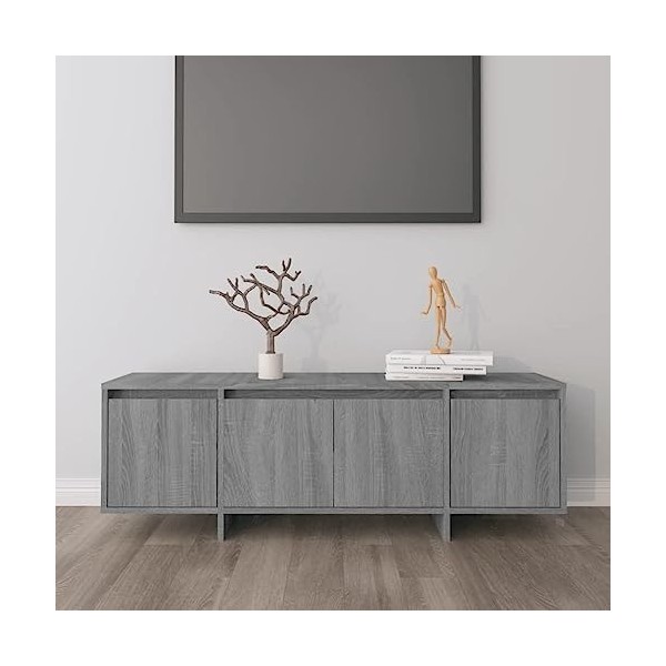 Meuble TV Gris Sonoma 120x30x40,5 cm Bois dingénierie