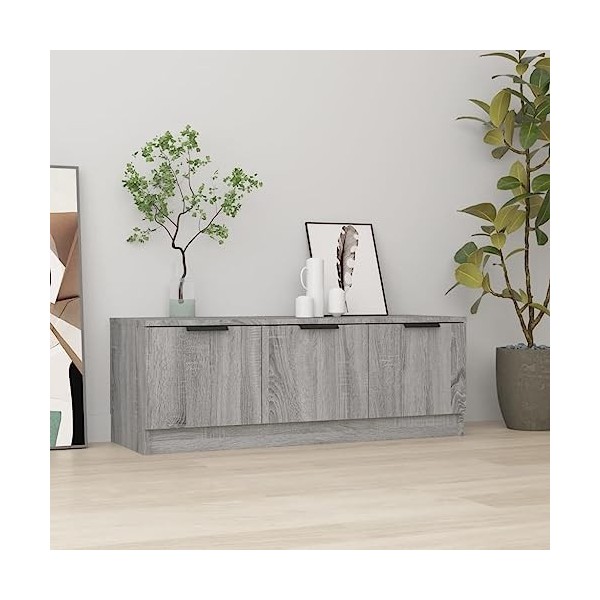 Meuble TV Gris Sonoma 102 x 35 x 36,5 cm Bois dingénierie