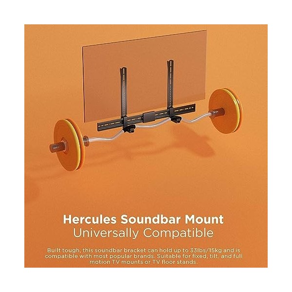 RICOO Support Mural pour Barre de Son, LH068 Adaptabilité Universelle avec/sans Trous, Montage sur Support télé et Support éc