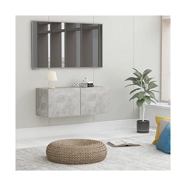 vidaXL Meuble TV Armoire Basse Murale Meuble Divertissement avec 2 Portes Multimédia Salon Maison Intérieur Gris Béton 80x30x
