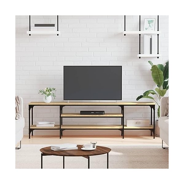 Meubles-TV Meuble TV Chêne Sonoma 161x35x45 cm Bois et Fer