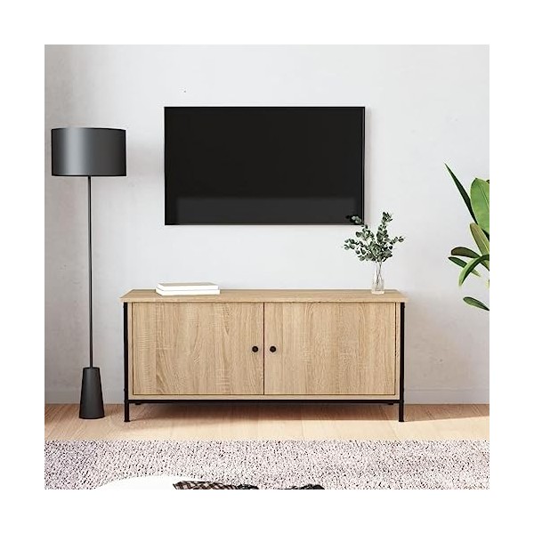 Hovothy Meuble TV avec Portes Noir 60x35x45 cm Bois dingénierie Chambre Meuble de Multimédia avec Pieds en Métal Meuble de S