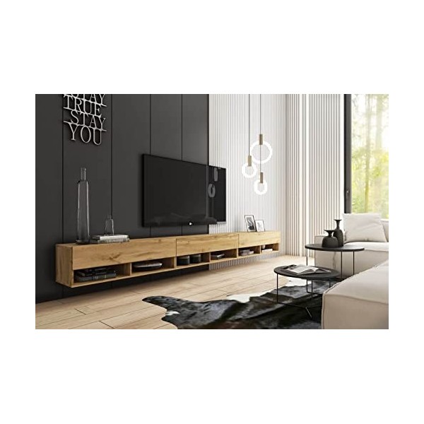 MINIO go for it - Armoire TV Lowboard Anne I 300x30x33 cm I avec Portes et Niches Ouvertes I Panneau de Particules Stratifié 