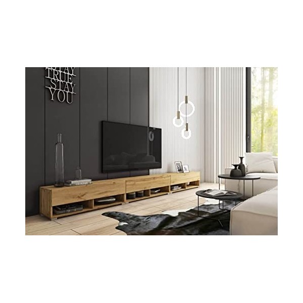 MINIO go for it - Armoire TV Lowboard Anne I 300x30x33 cm I avec Portes et Niches Ouvertes I Panneau de Particules Stratifié 