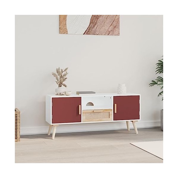 Meuble TV avec portes en bois 105 x 30 x 45 cm