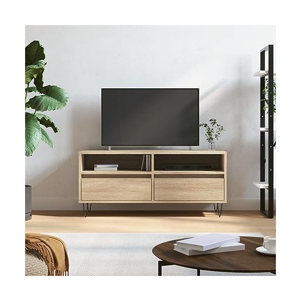 DCRAF Meuble TV de jardin en chêne Sonoma 100 x 34,5 x 44,5 cm