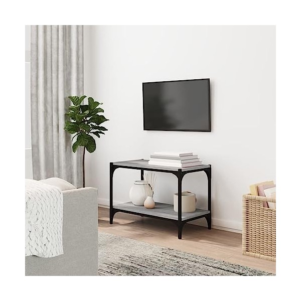 Hovothy Meuble TV Sonoma Gris 100x33x41 cm Bois dingénierie et Acier Style Industriel Armoire de Chambre Décoration Intérieu