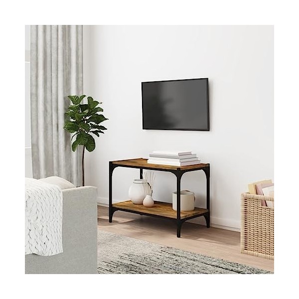 Hovothy Meuble TV Sonoma Gris 100x33x41 cm Bois dingénierie et Acier Style Industriel Armoire de Chambre Décoration Intérieu