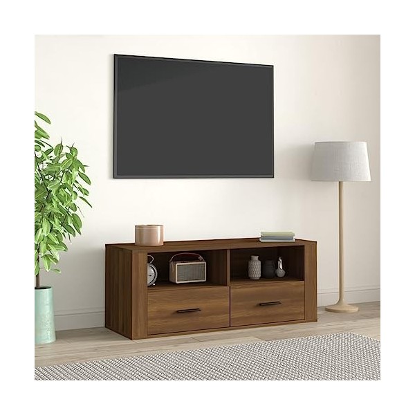 Hovothy Meuble TV Chêne Fumé 100x31,5x35 cm Bois dingénierie Design Tendance Décoration Armoire Multimédia Meuble de DVD Gra