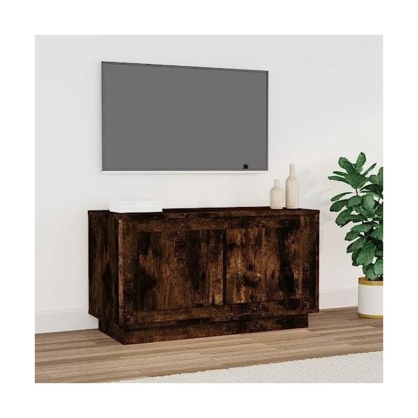 Hovothy Meuble TV Chêne Fumé 100x31,5x35 cm Bois dingénierie Design Tendance Décoration Armoire Multimédia Meuble de DVD Gra
