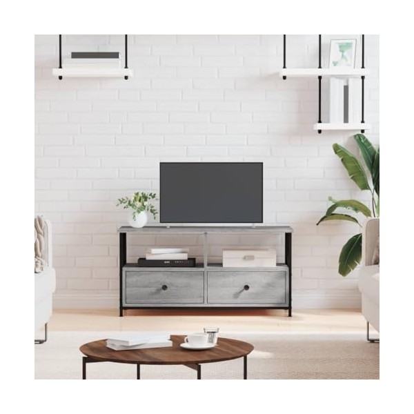 TECHPO Meubles-TV Meuble TV Gris Sonoma 90x33x45 cm Bois & Fer