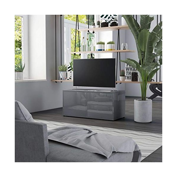 Kstyhome Meuble TV Armoire Basse Meuble Divertissement Meuble Multimédia avec 2 Tiroirs et 1 Compartiment Salon Maison Gris B