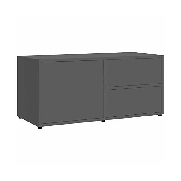 Kstyhome Meuble TV Armoire Basse Meuble Divertissement Meuble Multimédia avec 2 Tiroirs et 1 Compartiment Salon Maison Gris B