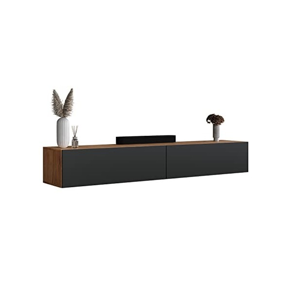 Planetmöbel TV Board 200 cm Or chêne/Anthracite, Armoire TV avec 2 abattants comme Espace de Rangement, lowboard Suspendu ou 