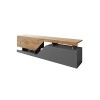 Bestmobilier - Pitt - Meuble TV - 160 cm - Style Industriel