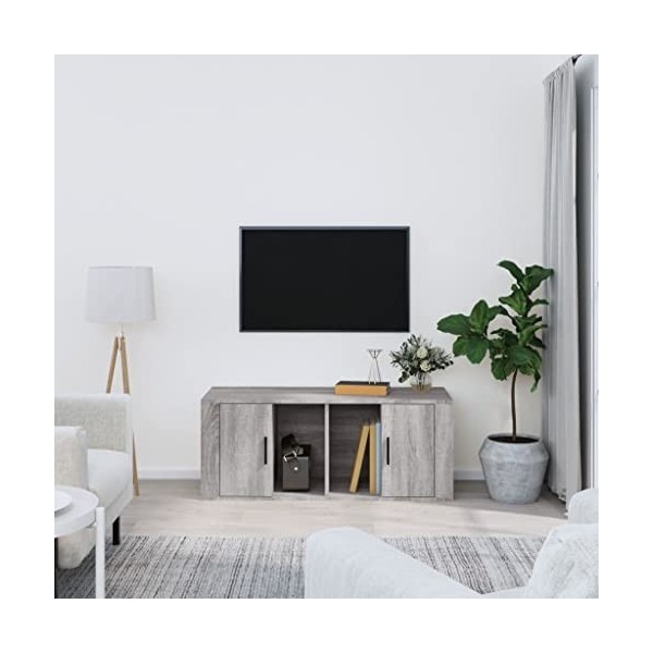 Meuble TV Gris Sonoma 100 x 35 x 40 cm Bois dingénierie