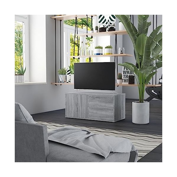 Annlera Meuble TV Chêne Fumé 69,5x30x50 cm Bois dingénierie Classique Banc TV Décorer Pièce Minimaliste Armoire TV Fonction 