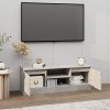 Tidyard Meuble TV avec Porte Armoire TV Bois de Salon Support pour Meubles TV Gris béton 102x30x36 cm