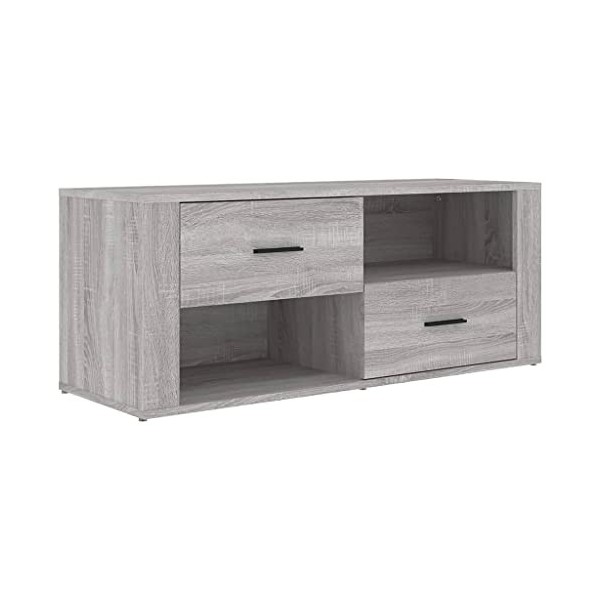 vidaXL Meuble TV Noir 100x35x40 cm Bois dingénierie