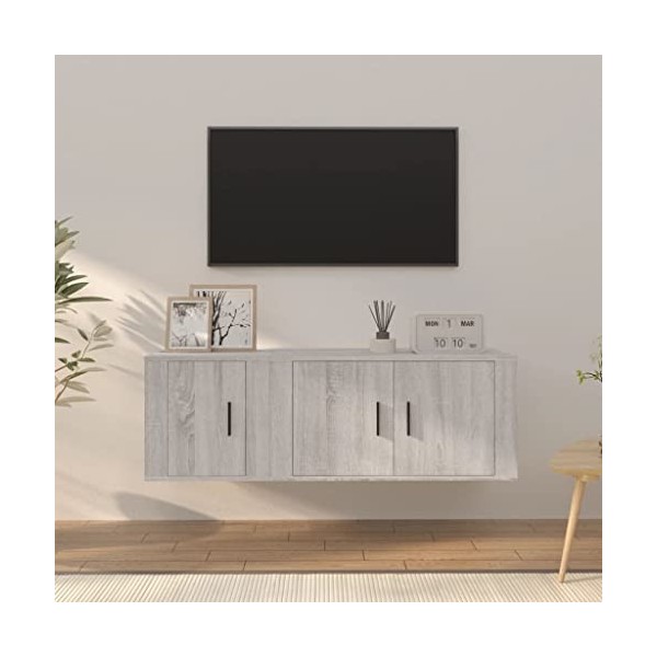 Meuble TV 2 pièces en bois Sonoma gris