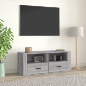 DIGBYS Meuble TV Sonoma Gris 100 x 35 x 40 cm Bois dingénierie