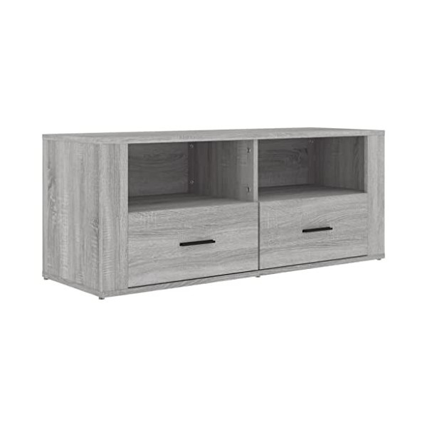 DIGBYS Meuble TV Sonoma Gris 100 x 35 x 40 cm Bois dingénierie