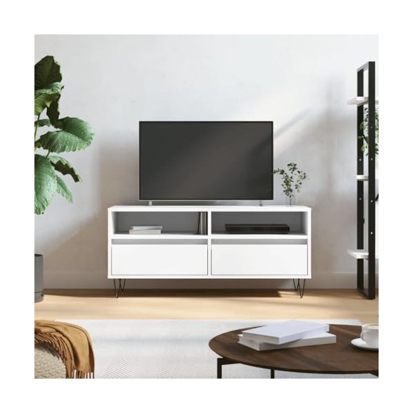 TALCUS Meuble TV de jardin en bois dingénierie Blanc 100 x 34,5 x 44,5 cm