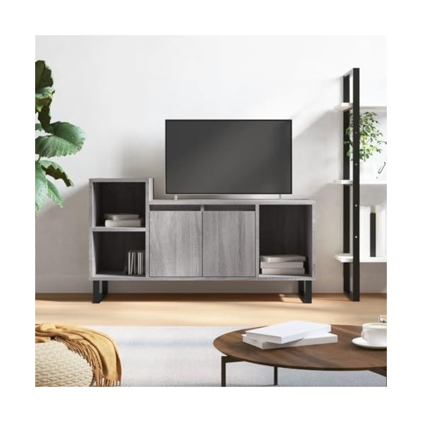 XLUMIO Centres de divertissement et supports TV, meuble TV gris Sonoma 100 x 35 x 55 cm en bois dingénierie