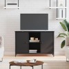 Centres de divertissement et supports TV, meuble TV noir, 100 x 35 x 65 cm, bois dingénierie