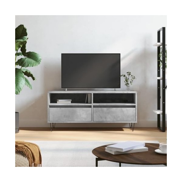 RAUGAJ Centres de divertissement et meubles TV - Meuble TV - Gris béton - 100 x 34,5 x 44,5 cm - Bois dingénierie