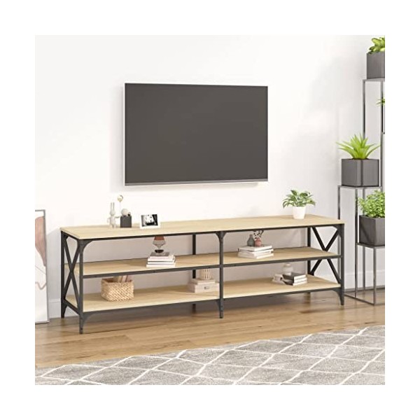 TOYOCC Centres de divertissement et meubles TV, meuble TV en chêne sonoma, 160 x 40 x 50 cm, bois dingénierie
