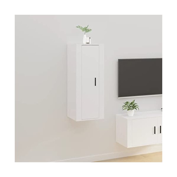 VEEKI Meuble TV, Meuble TV Suspendu, Meuble, Meuble TV avec Rangement,Meuble Industriel, Convient pour Salon ou Chambre, Mura