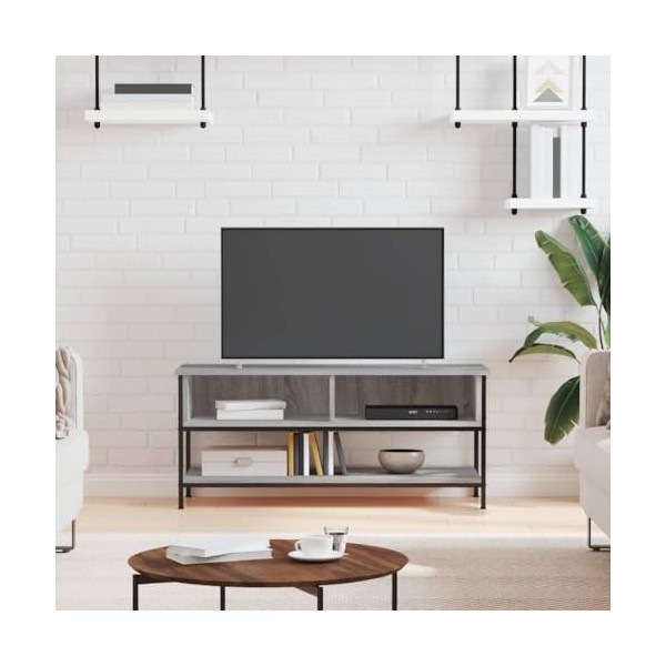 Annlera Meuble TV Chêne Sonoma 100x35x45 cm Bois dingénierie et Fer Résistance lhumidité Banc TV Maison Chambre à Coucher C